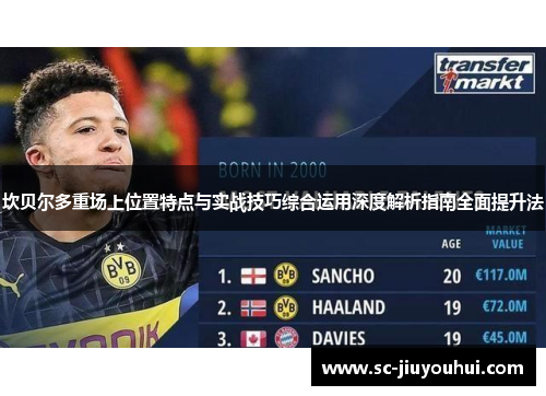 坎贝尔多重场上位置特点与实战技巧综合运用深度解析指南全面提升法