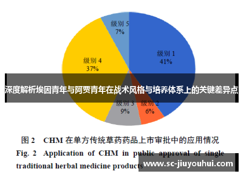 深度解析埃因青年与阿贾青年在战术风格与培养体系上的关键差异点