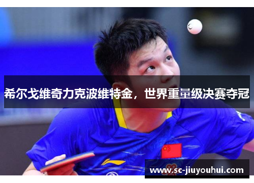 希尔戈维奇力克波维特金，世界重量级决赛夺冠